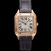Replica Cartier Santos WGSA0116 F1 Factory Rose Gold - Replica Watches Factory