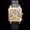 Replica Cartier Santos WGSA0108 F1 Factory - Replica Watches Factory