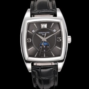 Patek Philippe Complications 5135P-001 TW Factory - Replica Watches Factory