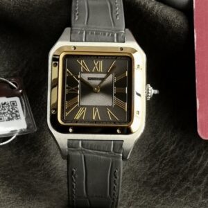 Cartier Santos W2SA0028 5S Factory - Replica Watches Factory